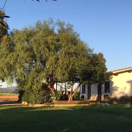 Belvedere Farma Pescia Romana